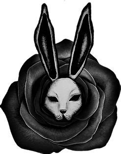 Black rabbit rose magic